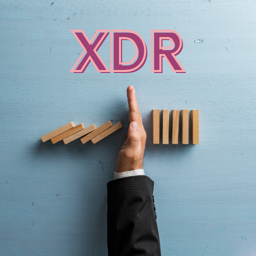 XDR Security Services